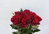 EVER RED
